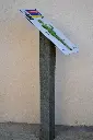 SPT023_Thelma  (2).webp