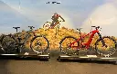 MIT014_Mard (3).webp
