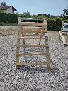 SSW009_Essina (2).webp