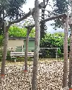 SSW016 - Extrasda_echelle grand format (2).webp