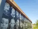 SAE018_Reno (4).webp