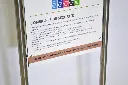SAE028_Leo (3).webp