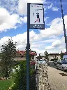 SAE031_Ferdi (2).webp