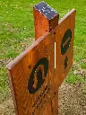 SFB022_Woody (1).webp