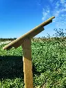 SPT002_Alma- lutrin (1).webp