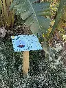 SPT020_Darwin (3).webp