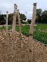 JMJ028_La fôret des bambous (2).webp