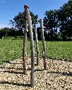 JMJ028_La fôret des bambous (3).webp
