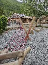 IMG_20220505_161802534_HDR.webp