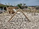 SSW009_Essia.webp