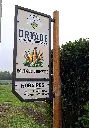 SAE037_Dryade (1).webp
