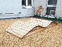 MLU005_Robihoops.webp