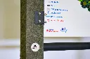 SAE026_Lena (5).webp