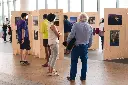 MIT026_Woodex-panneau expo (4).webp