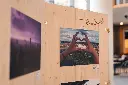 MIT026_Woodex-panneau expo (9).webp