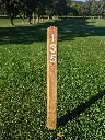 SFB006_Legno (4).webp