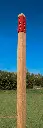 SFB007_Matuta (9).webp