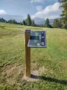 Bielo