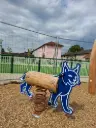 Le Lynx